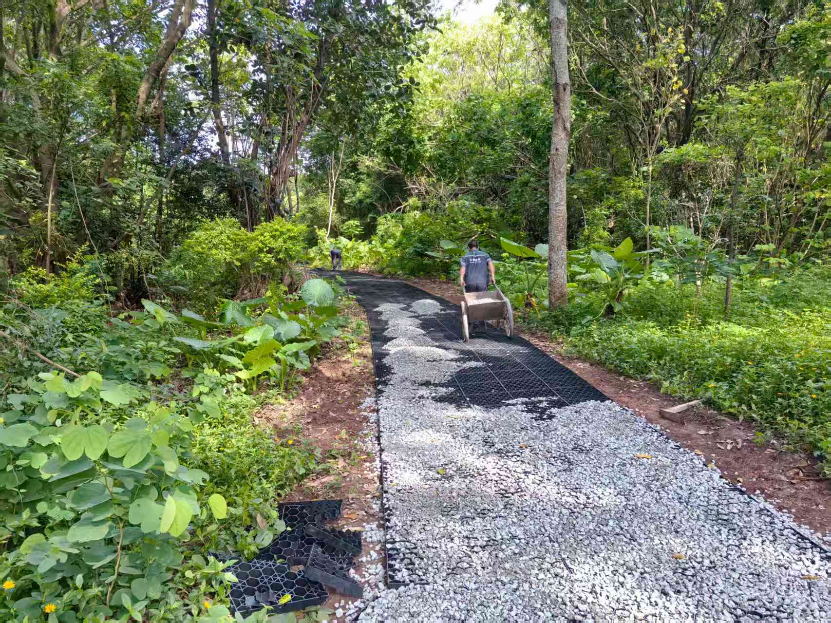 莲花山公园项目